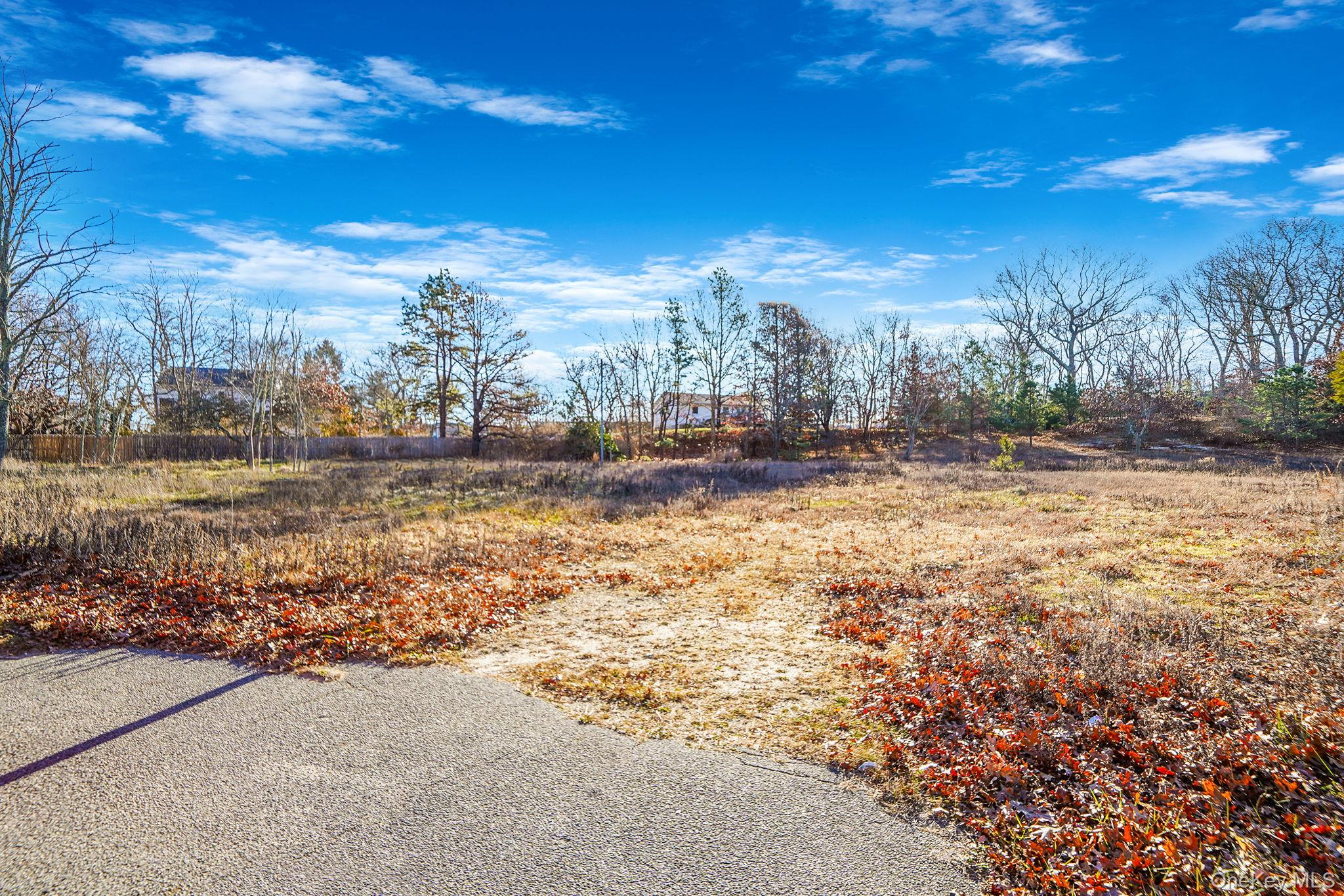 267 Old Country Road Eastport, NY 11941 - Photo 2 of 16 a view of a yard with an umbrella