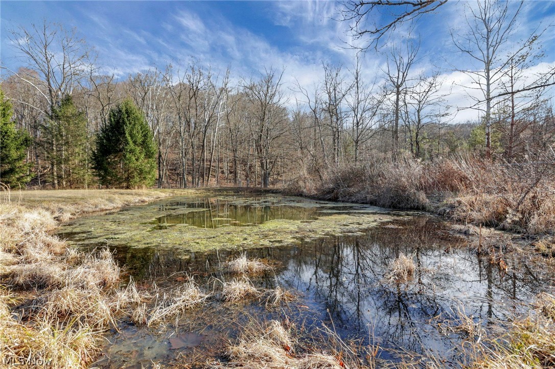 3750 Cannelville Road Roseville, OH 43777 - Photo 26 of 33 Water view