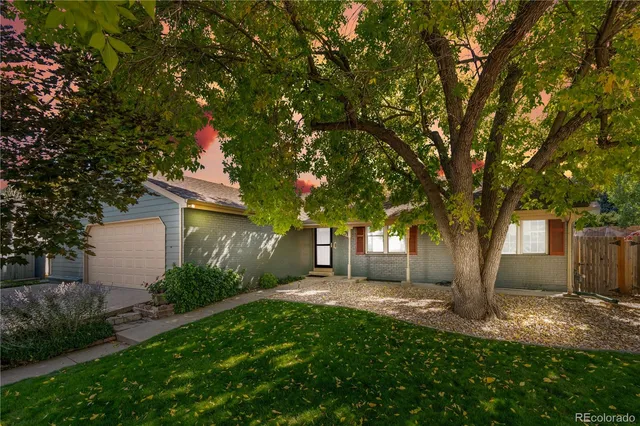 a front view of a house with a yard and tree s
