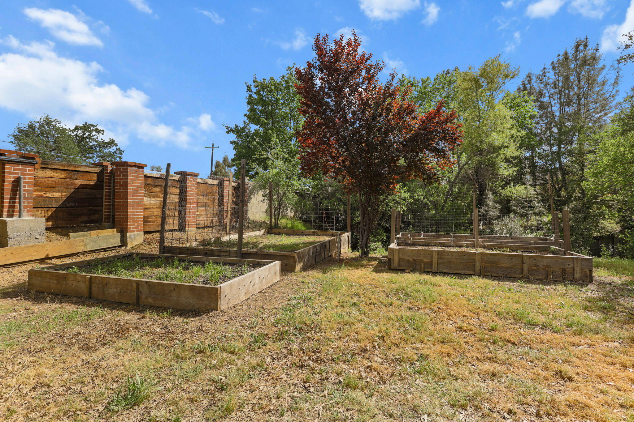 4550 Placer Road Redding, CA 96001 - Photo 25 of 95 Huge Raised Garden Beds