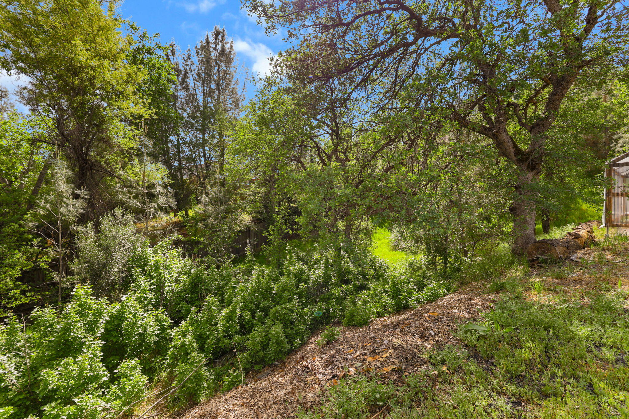 4550 Placer Road Redding, CA 96001 - Photo 30 of 95 Gully
