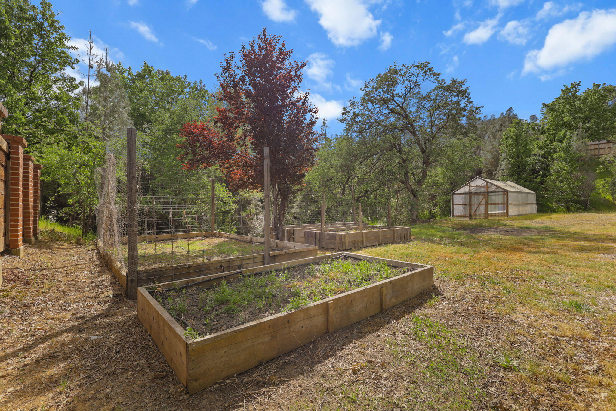 4550 Placer Road Redding, CA 96001 - Photo 3 of 95 Huge Raised Garden Beds & Greenhouse