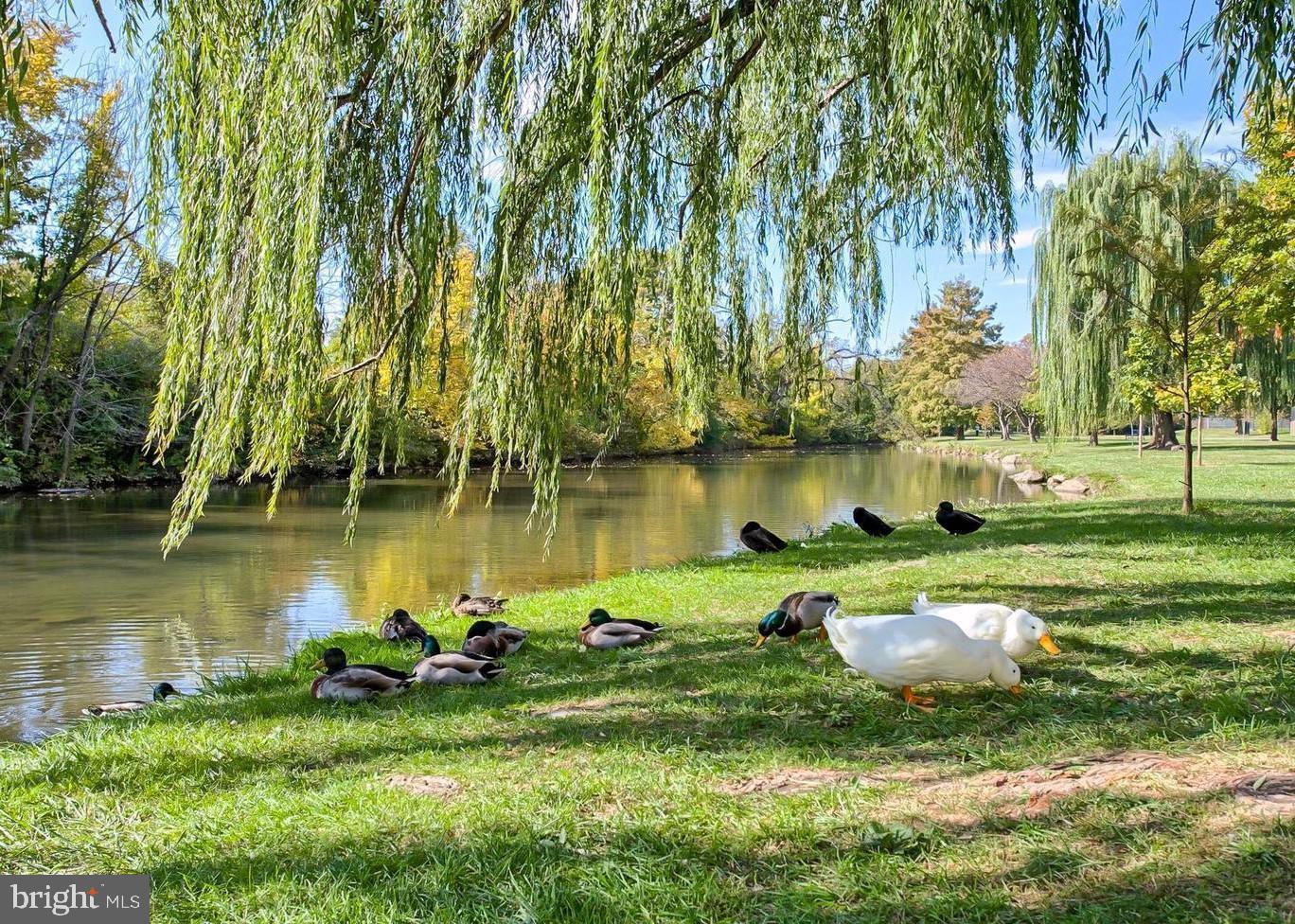 944 Lindley Road Frederick, MD 21701 - Photo 54 of 58 Baker Park