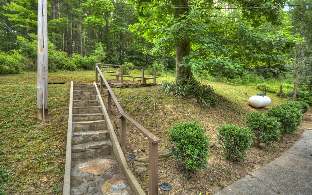 Additional View