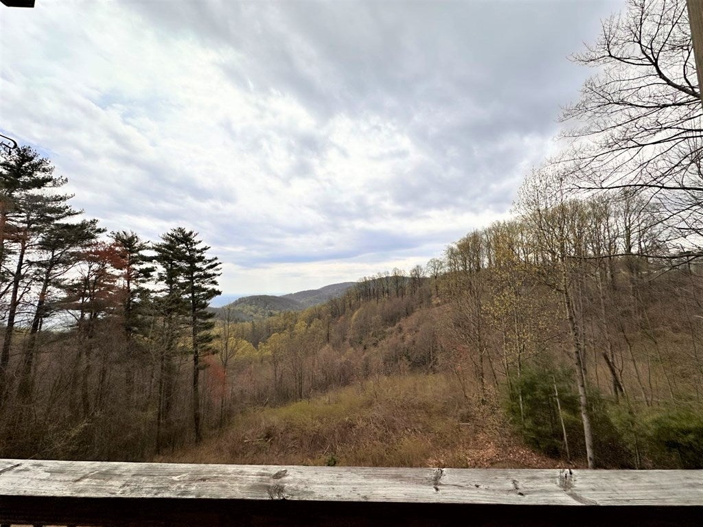 458 Thunder Hill Road Fancy Gap, VA 24328 - Photo 33 of 33 Gallery Image 33