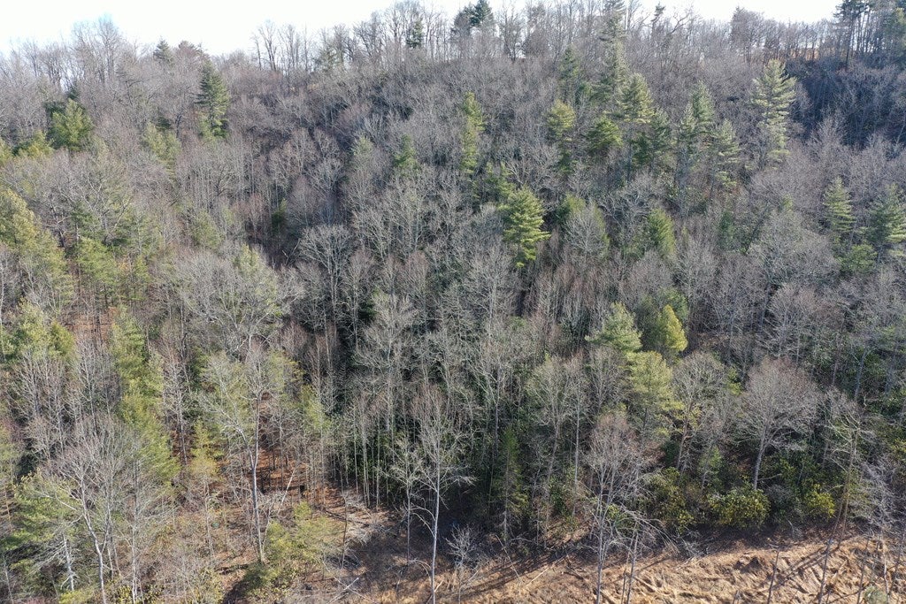 2093 Gambetta Road Galax, VA 24333 - Photo 54 of 63 Gallery Image 54