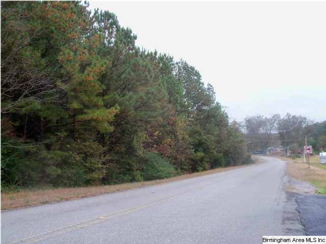 Meadow Glen Road, Unit 26 Talladega, AL 35160 - Photo 1 of 5