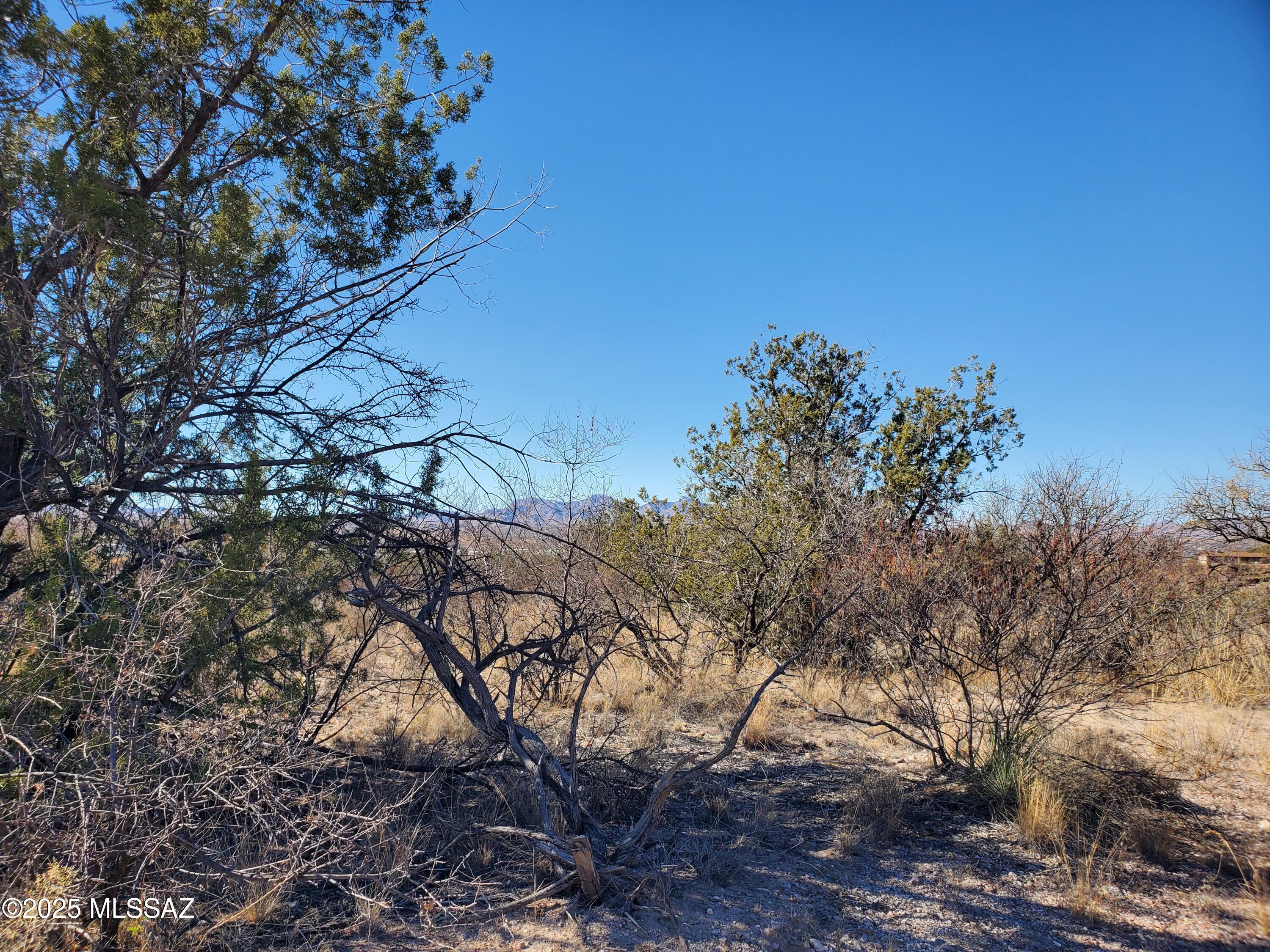 133 Juego Court, Unit 21 Rio Rico, AZ 85648 - Photo 7 of 11
