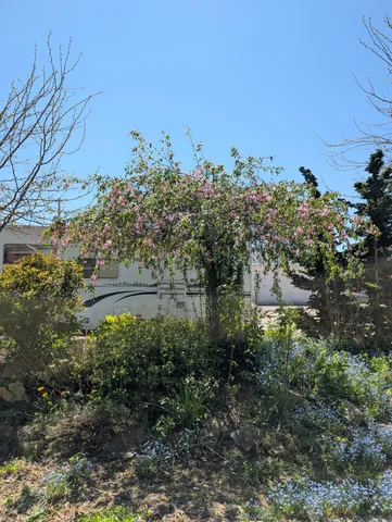 $339,900 | 120 South Main Street, Scottville, MI 49454