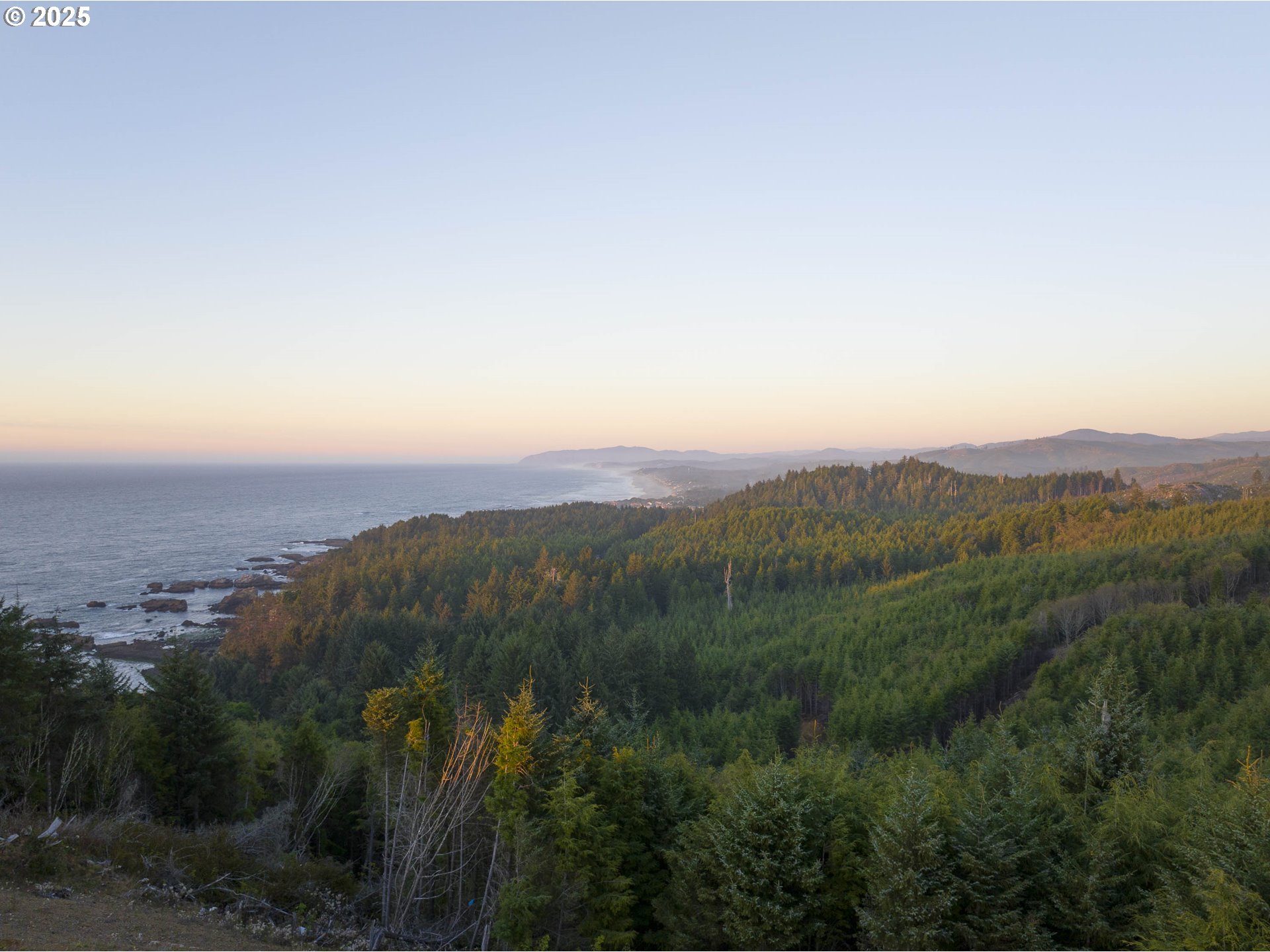 0 Northeast Lillian Lane, Unit LOT 24 Depoe Bay, OR 97341 - Photo 14 of 16 a view of a city with lush green forest