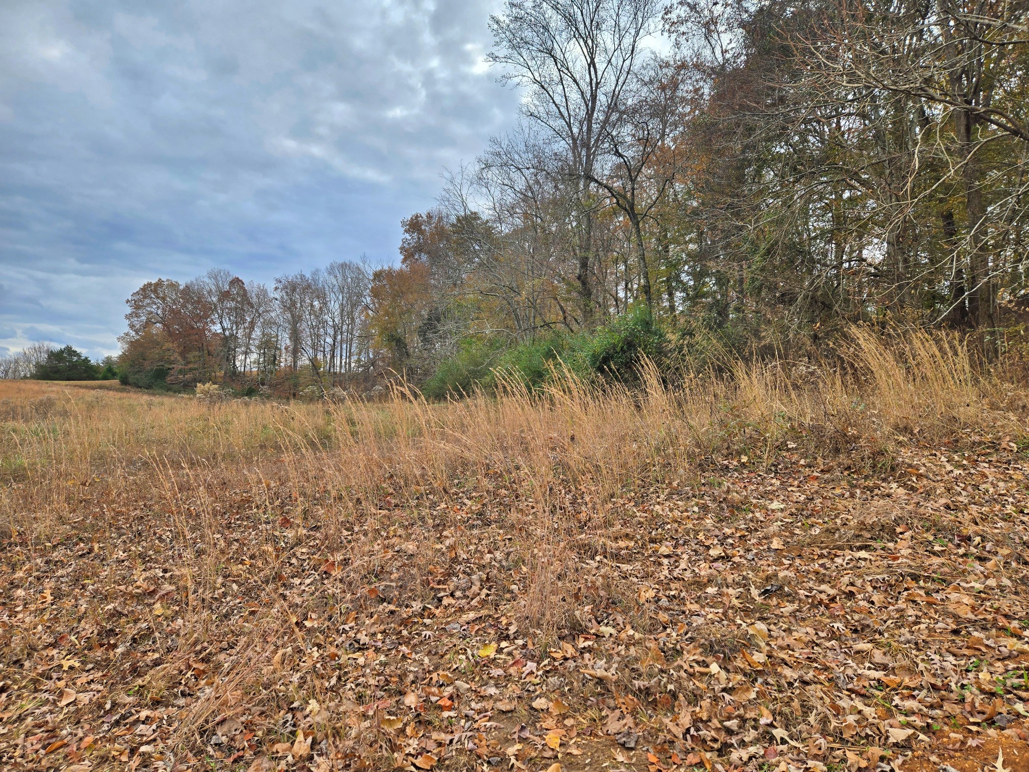 0 Hidden River Road Rock Island, TN 38581 - Photo 4 of 16 a view of lake