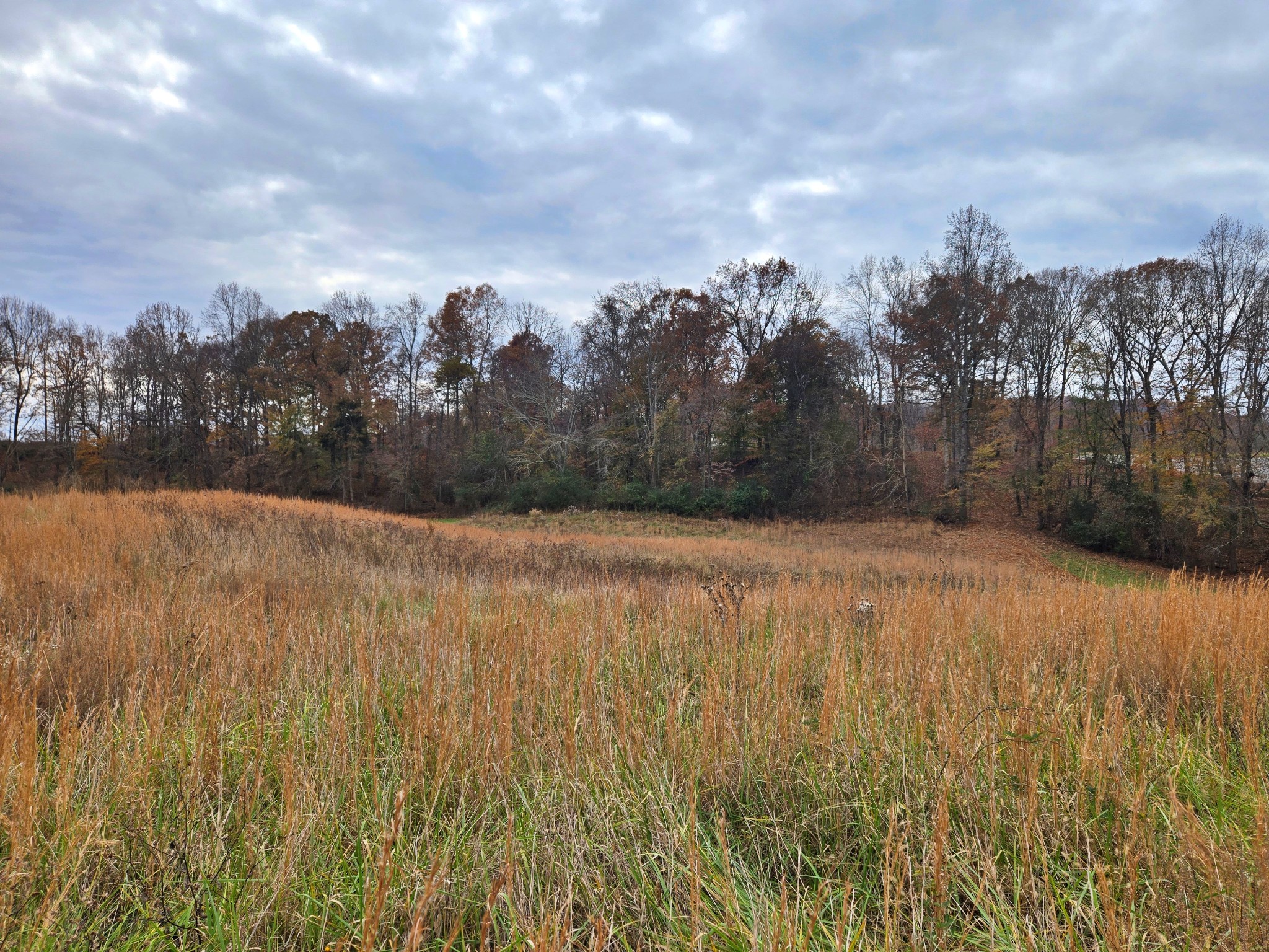 0 Hidden River Road Rock Island, TN 38581 - Photo 5 of 16 a view of a yard