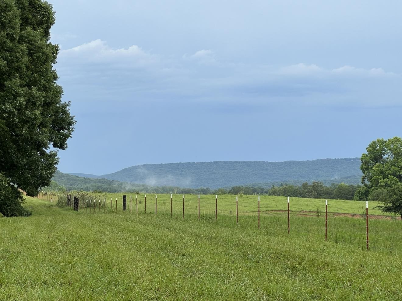 0 Hidden River Road Rock Island, TN 38581 - Photo 10 of 16 a view of a backyard