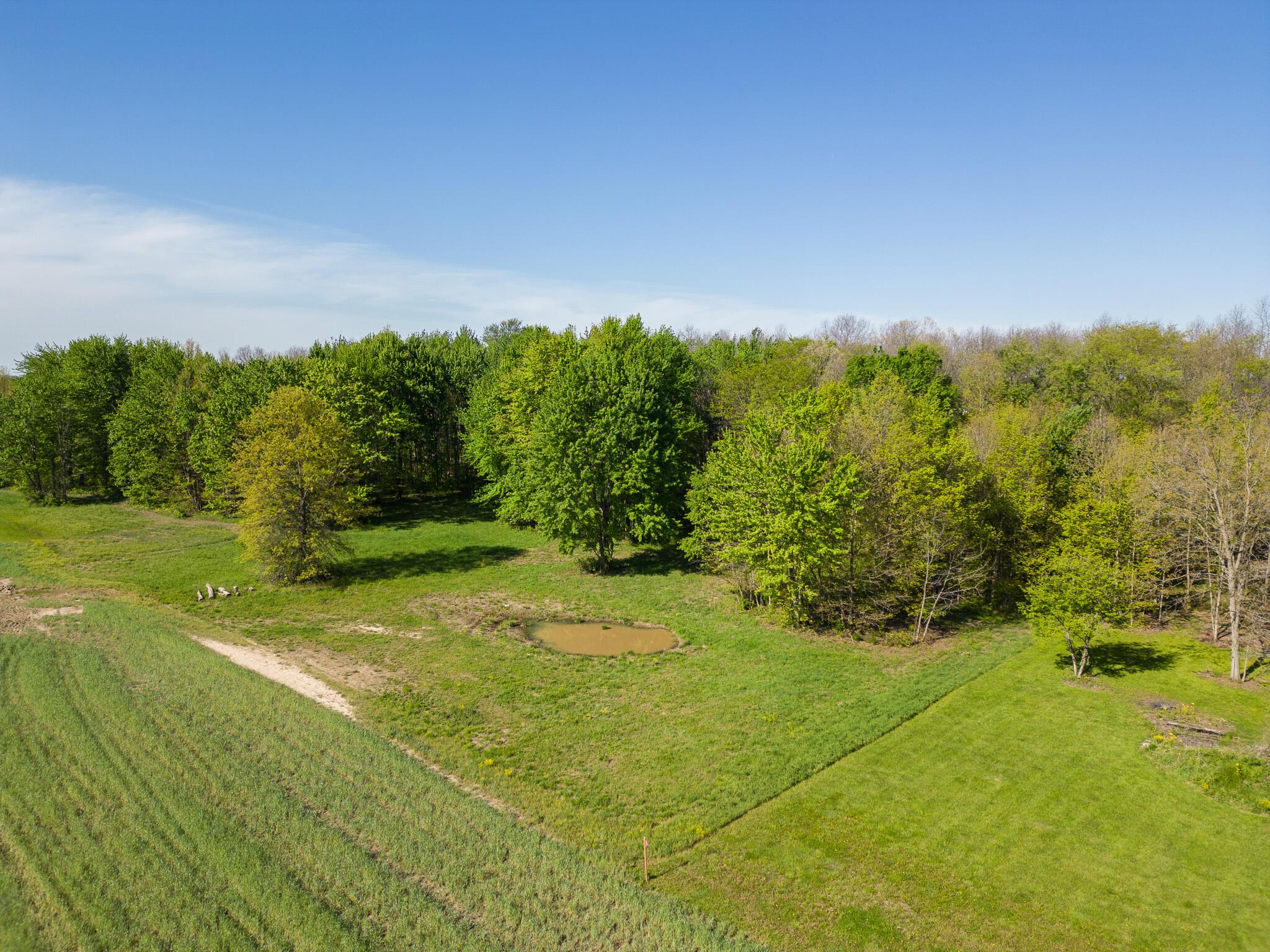 5387 Dildine Road Delaware, OH 43015 - Photo 31 of 37 50