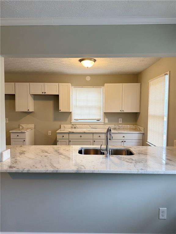 3990 Highway 92 Acworth, GA 30102 - Photo 6 of 25 a kitchen with stainless steel appliances a sink and a stove