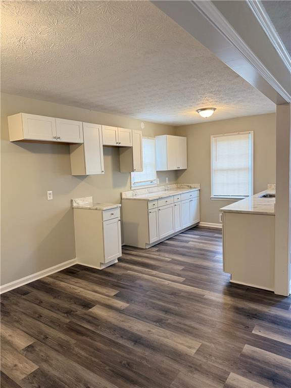 3990 Highway 92 Acworth, GA 30102 - Photo 8 of 25 a view of kitchen with wooden floor