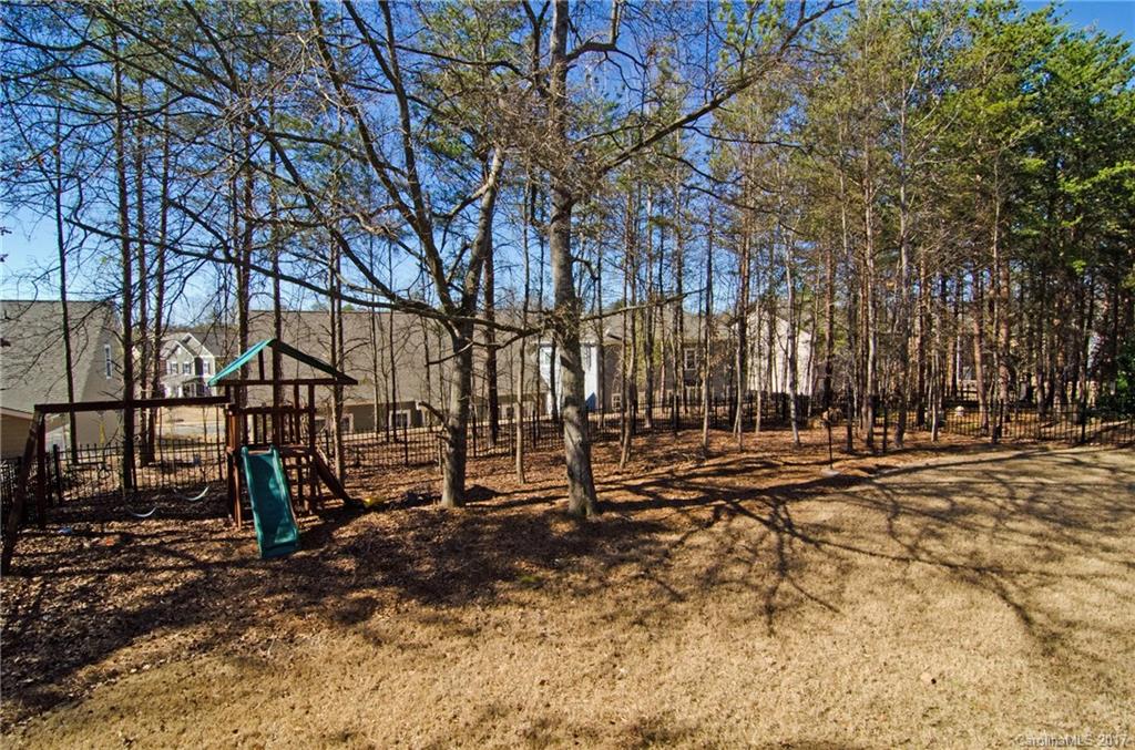 16827 Rudence Court Charlotte, NC 28278 - Photo 23 of 24 a view of a park with large trees