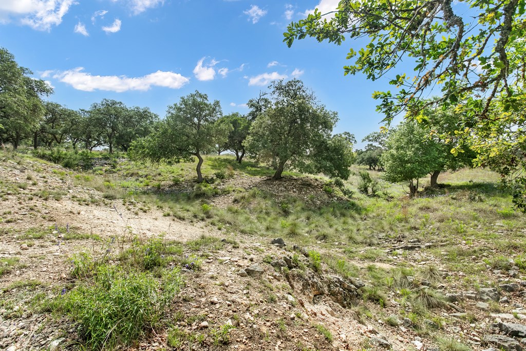 181 Real Lake House Road South Kerrville, TX 78028 - Photo 10 of 18 a view of outdoor space and a yard