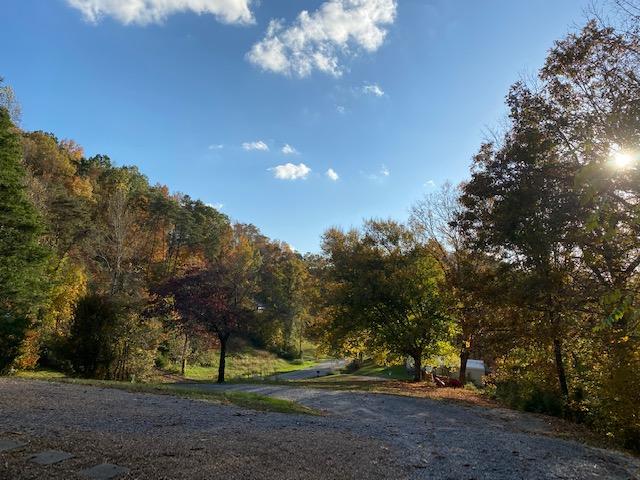 370 Satterfield Road Maynardville, TN 37807 - Photo 3 of 28 IMG_7175