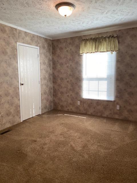 370 Satterfield Road Maynardville, TN 37807 - Photo 23 of 28 IMG_7338