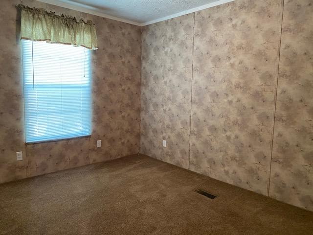 370 Satterfield Road Maynardville, TN 37807 - Photo 25 of 28 IMG_7344
