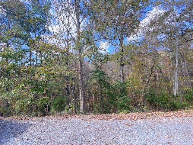 370 Satterfield Road Maynardville, TN 37807 - Photo 28 of 28 IMG_7315