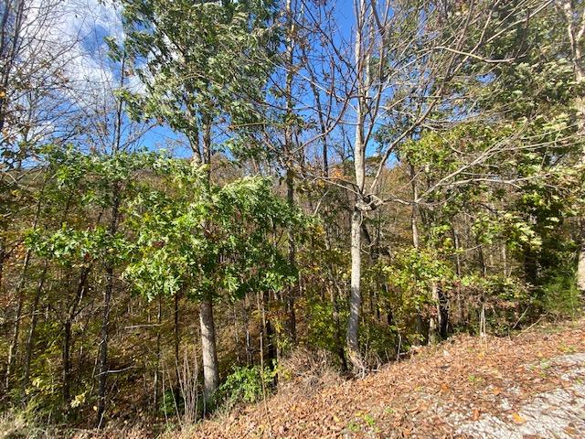 370 Satterfield Road Maynardville, TN 37807 - Photo 6 of 28 IMG_7365