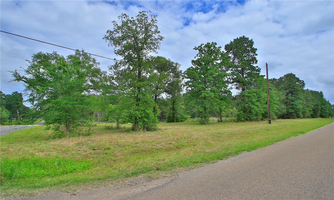5914 Carter Road Waller, TX 77484 - Photo 28 of 41