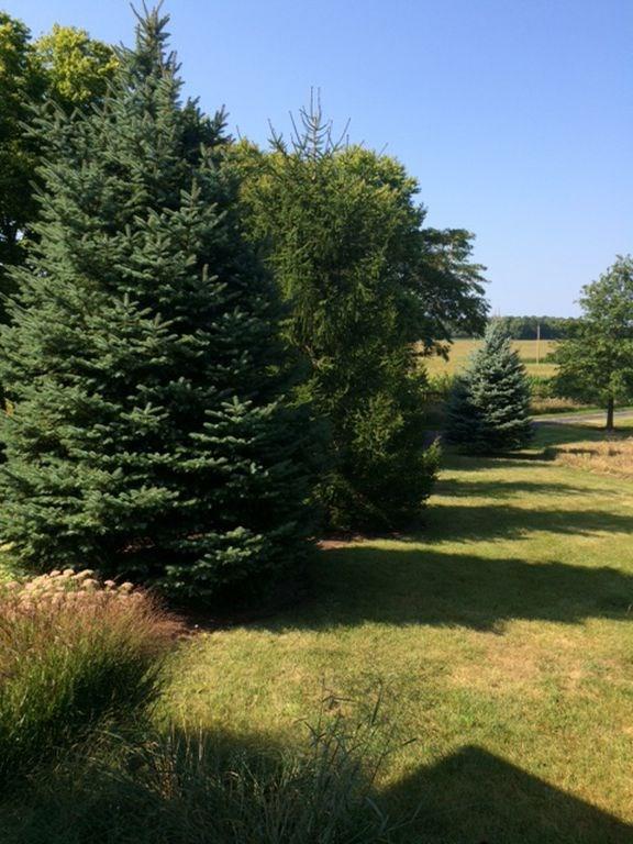 23065 Overdorf Road Cicero, IN 46034 - Photo 30 of 37 Gallery Image 30