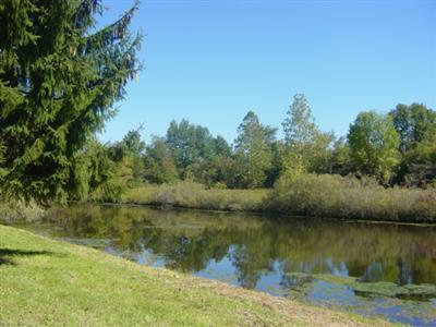 Summit Road Leonidas, MI 49066 - Photo 1 of 2 Primary Photo