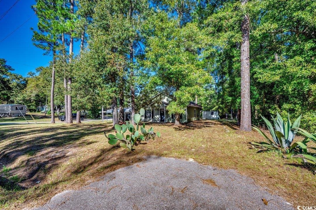 5221 Bottle Branch Road Conway, SC 29527 - Photo 11 of 16 View of yard