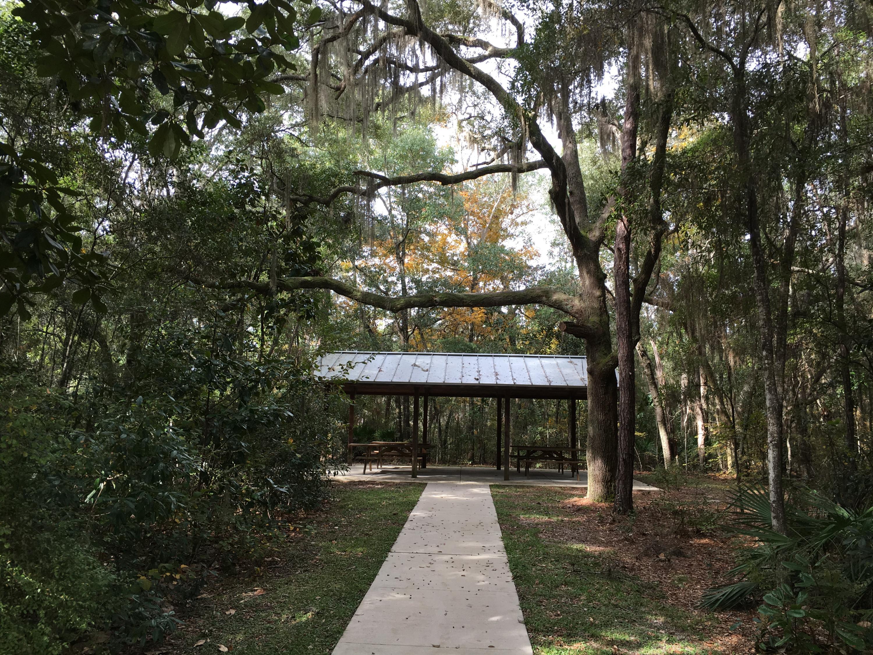 186 Montclair Avenue Santa Rosa Beach, FL 32459 - Photo 22 of 35 Gallery Image 22