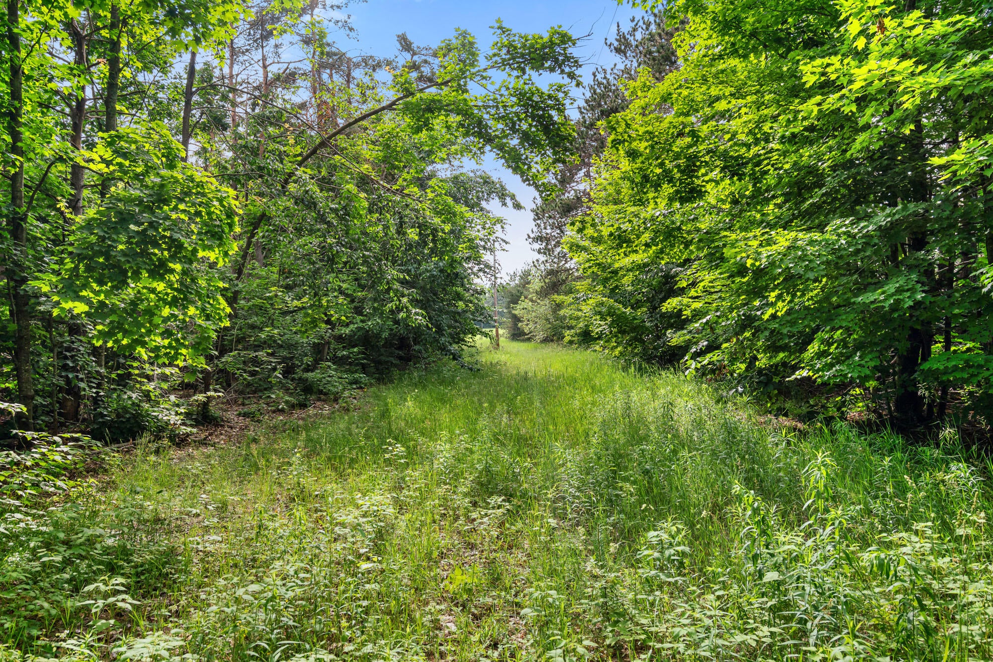3745 Shaff Road Gaylord, MI 49735 - Photo 5 of 28 Gallery Image 5