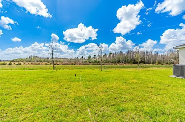 a view of a large yard