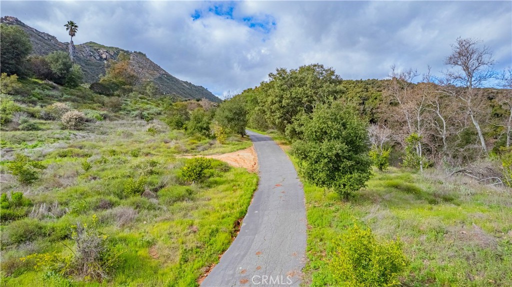 48703 De Luz Road Temecula, CA 92590 - Photo 6 of 36 a view of a yard with large trees