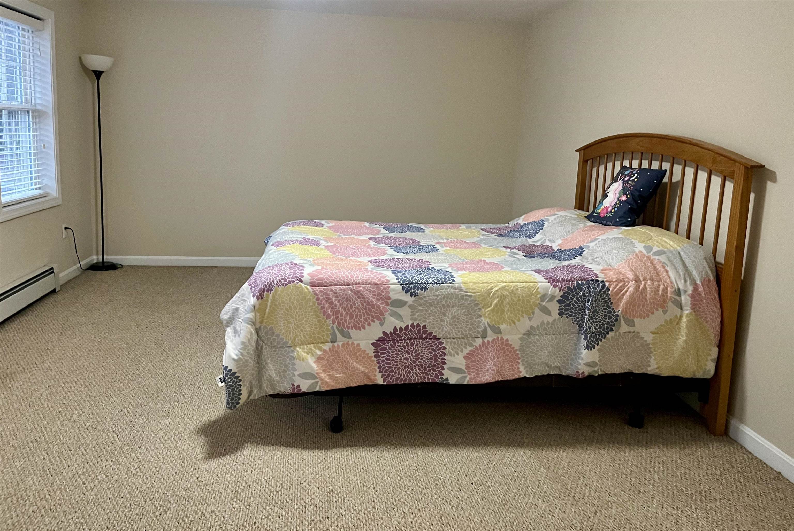 16 Cat Tail Circle New Ipswich, NH 03071 - Photo 11 of 18