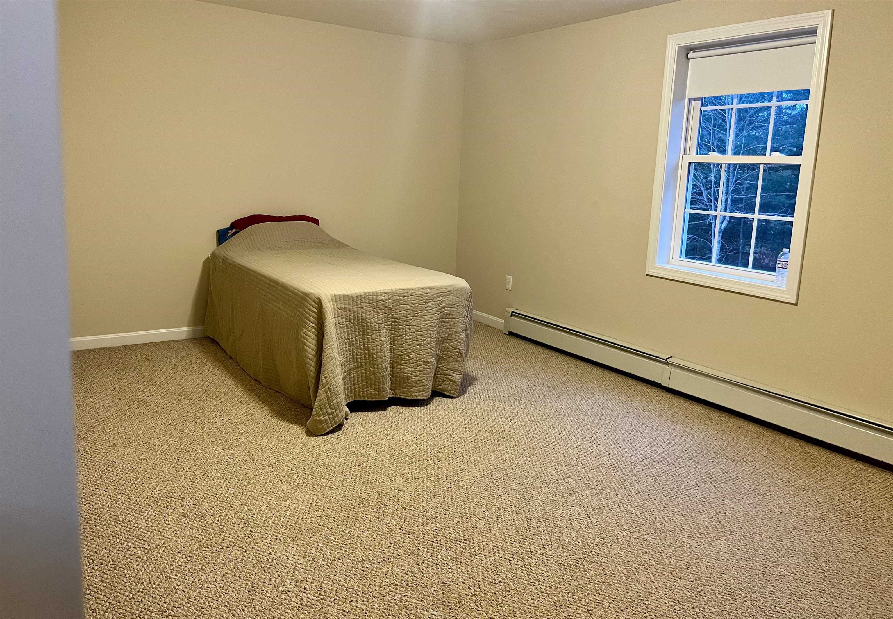 16 Cat Tail Circle New Ipswich, NH 03071 - Photo 15 of 18