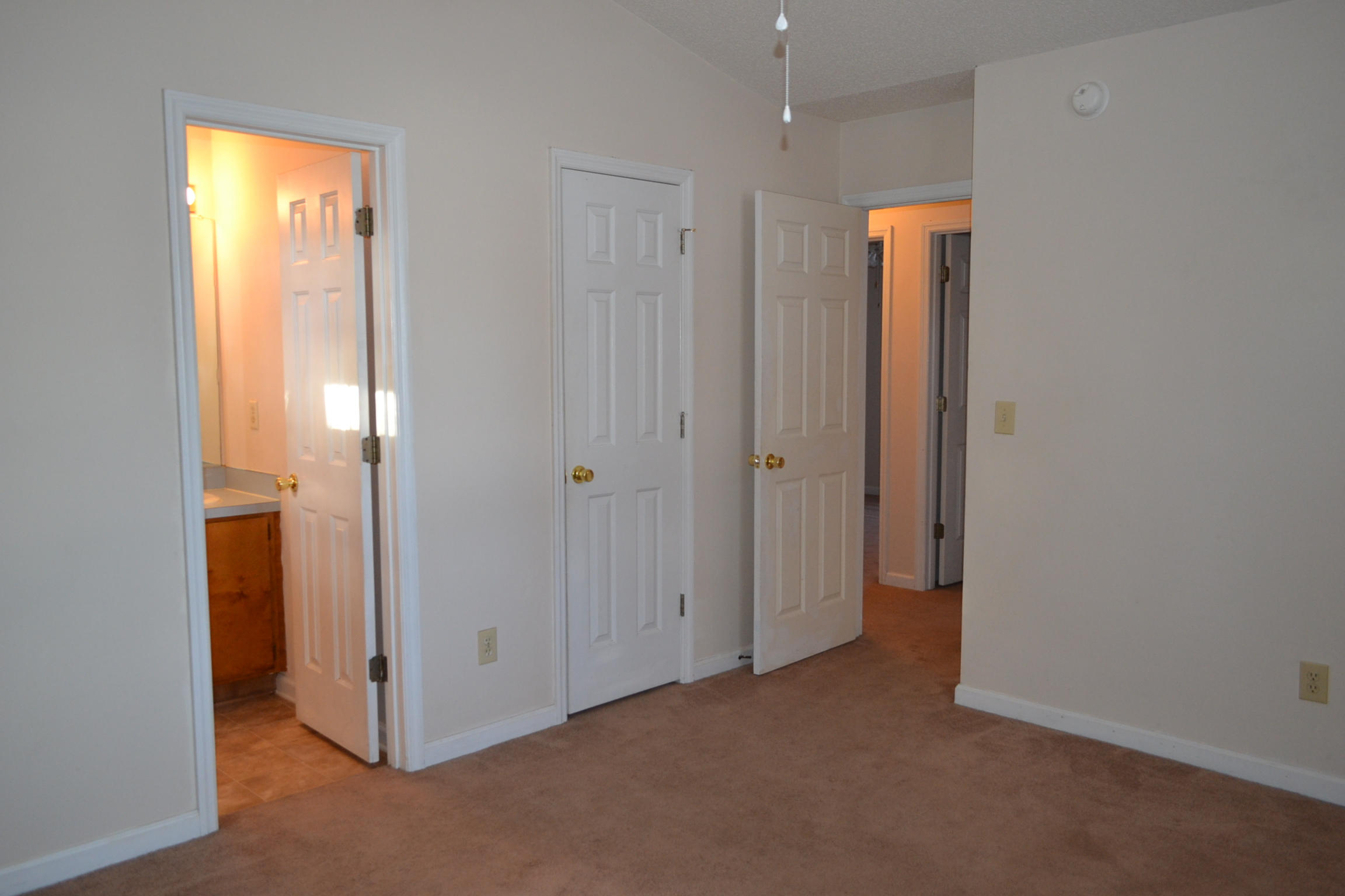 9870 Levenshall Drive Ladson, SC 29456 - Photo 11 of 25 DSC_0004