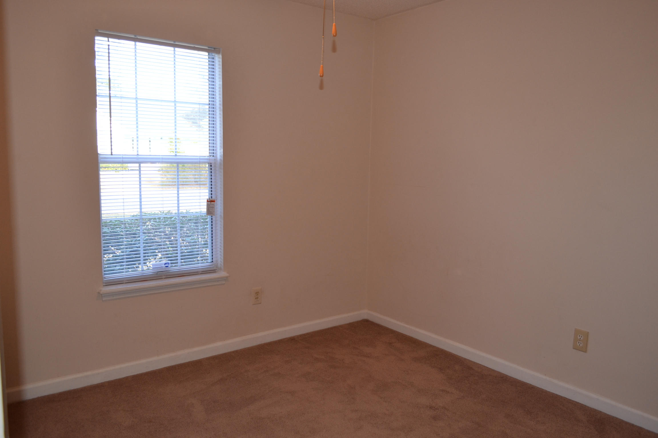 9870 Levenshall Drive Ladson, SC 29456 - Photo 16 of 25 DSC_0010