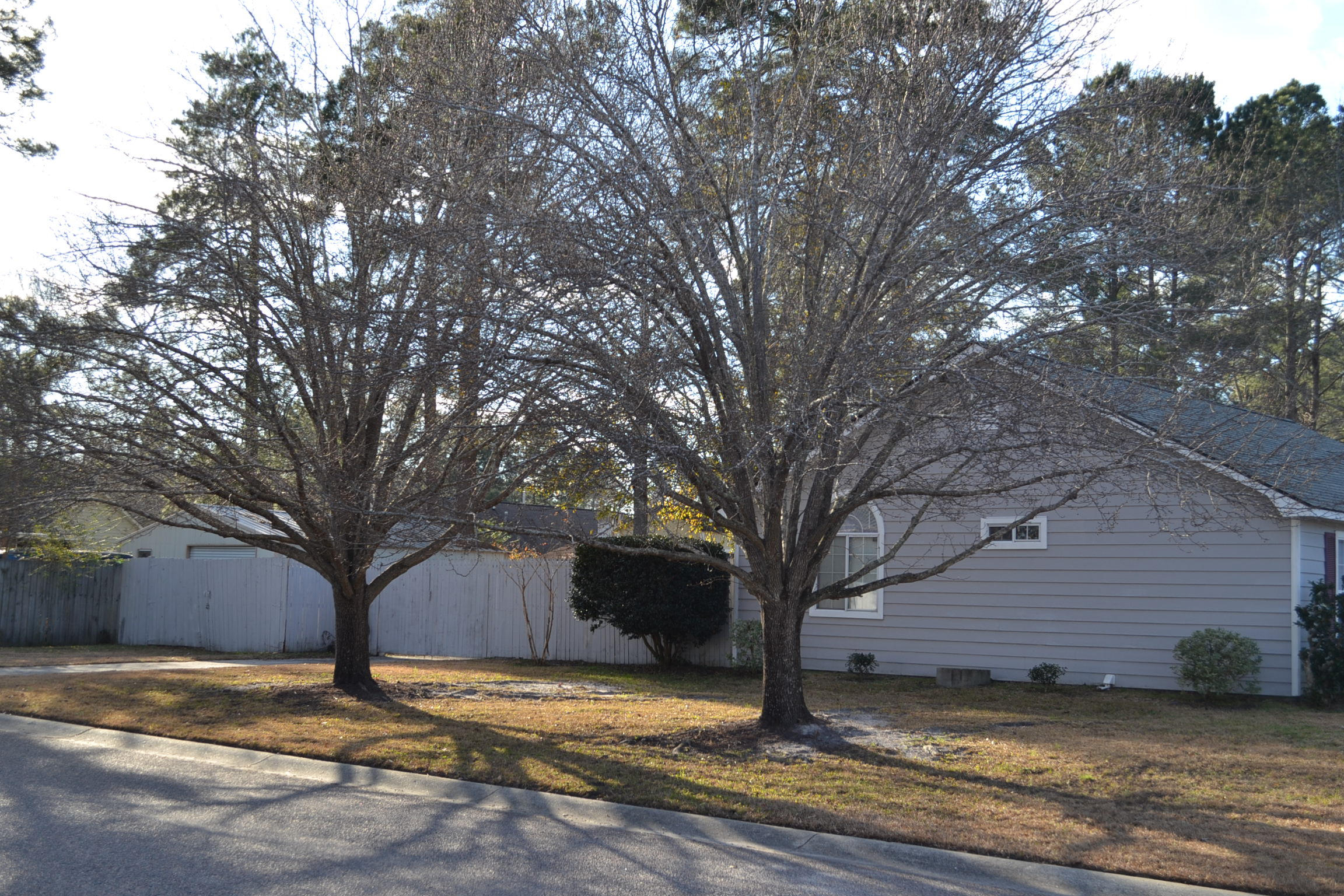 9870 Levenshall Drive Ladson, SC 29456 - Photo 25 of 25 DSC_0032