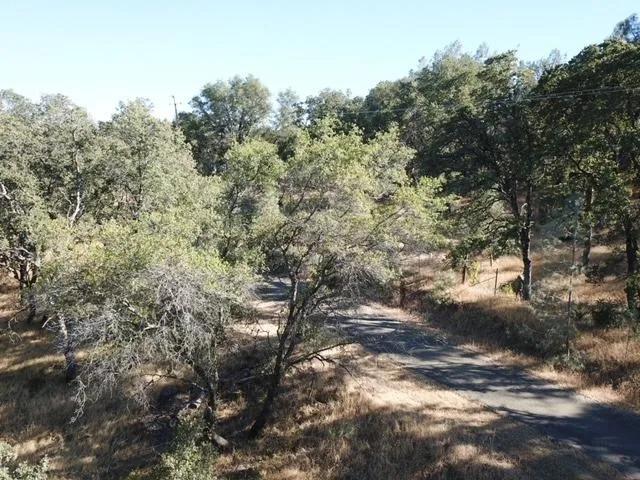 a view of a yard with a tree