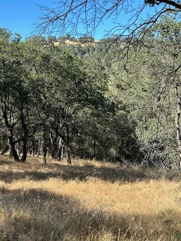 a view of a yard next to a building