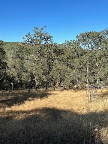 a view of a field with mountains in the background