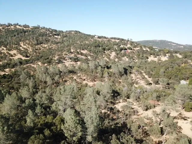 a view of a covered with green space