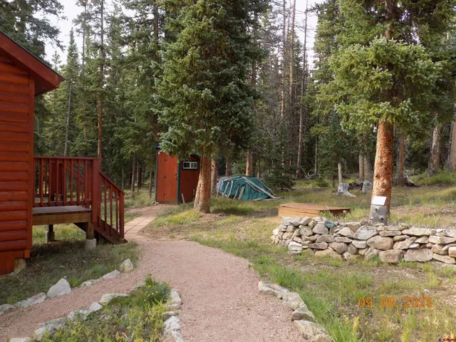 a view of a park with large trees