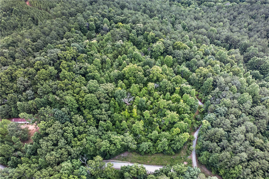 130 Maggie Rufus Lane Westminster, SC 29693 - Photo 42 of 50 A winding private road meanders through a heavily wooded, secluded property offering ultimate privacy.