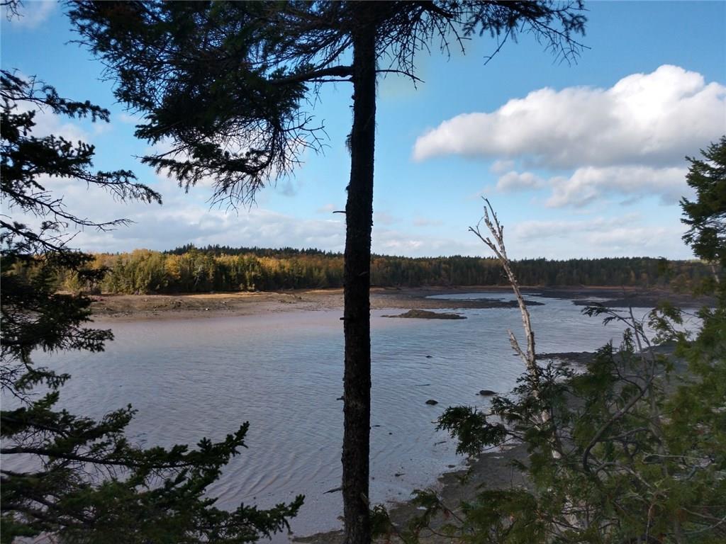 Lot 3 North Shores Road Lubec, ME 04652 - Photo 9 of 13 Photo