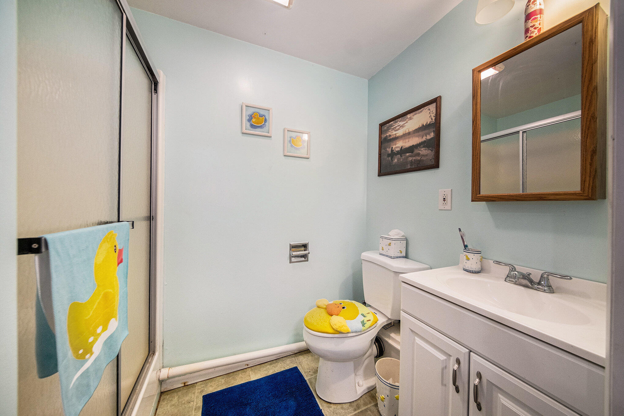 2759 Hemlock Road Quincy, MI 49082 - Photo 13 of 21 Walkout Bath