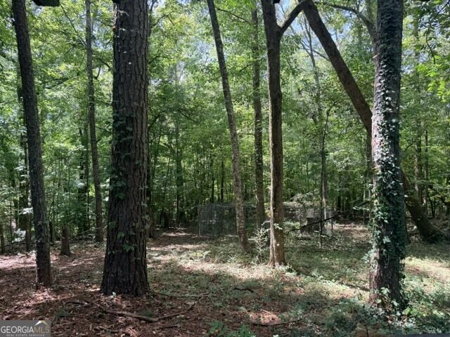 214 West Grantville Road Grantville, GA 30220 - Photo 30 of 33 Gallery Image 30