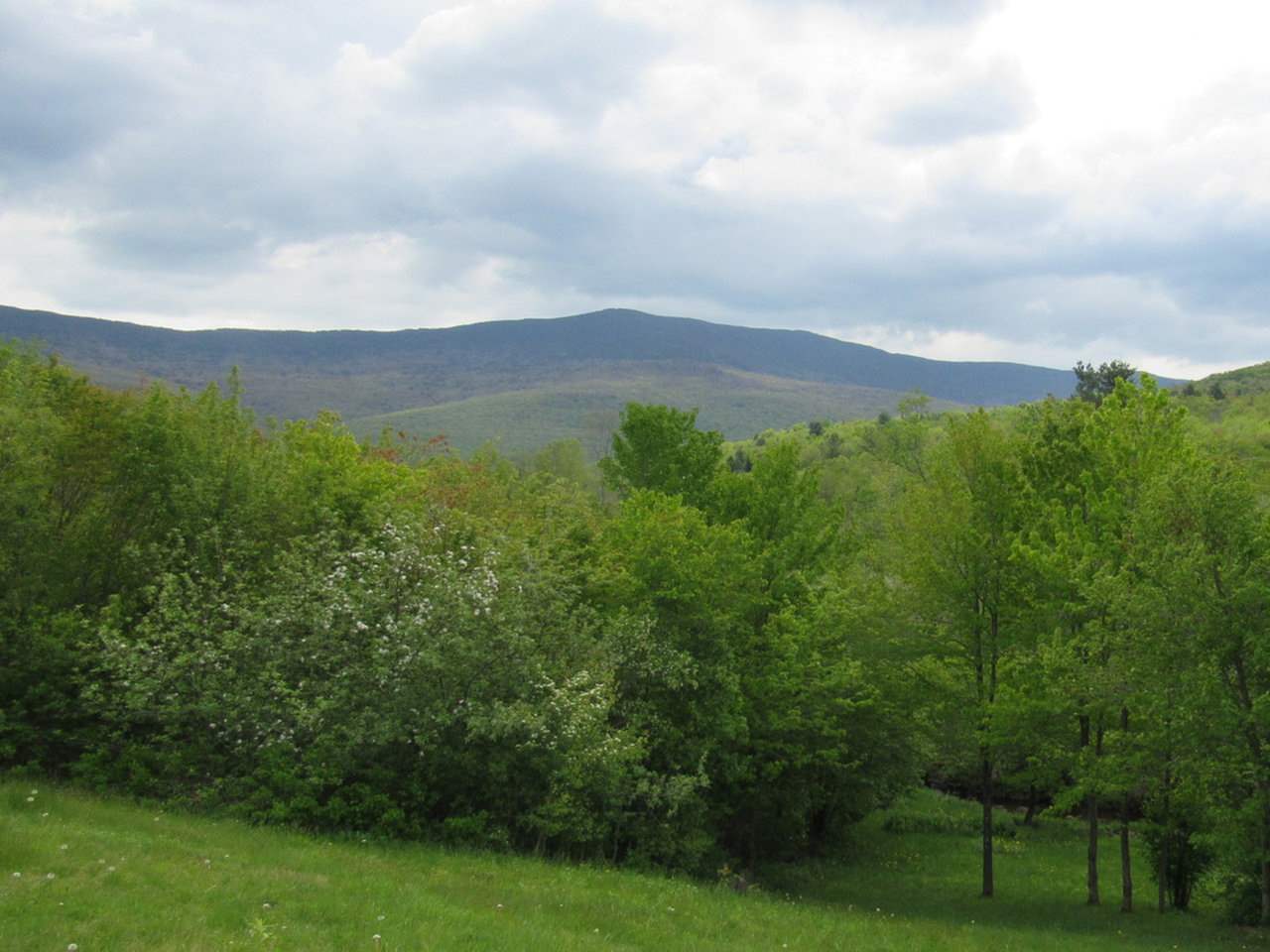 187 Jerusalem Road Starksboro, VT 05443 - Photo 2 of 33